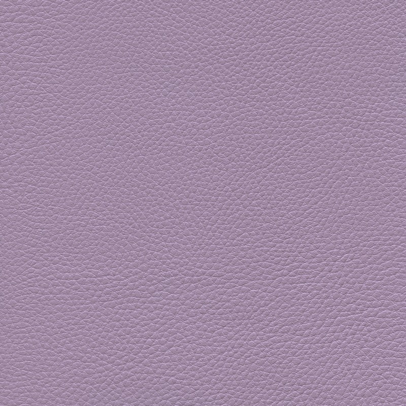 013 32 008 Lilas