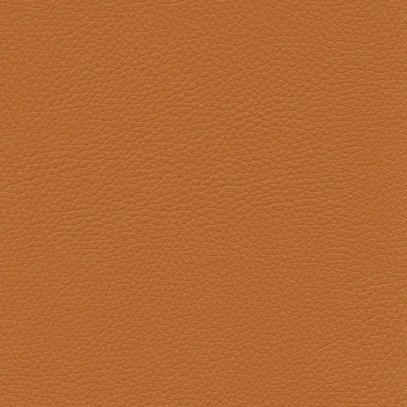 013 32 015 Citrouille