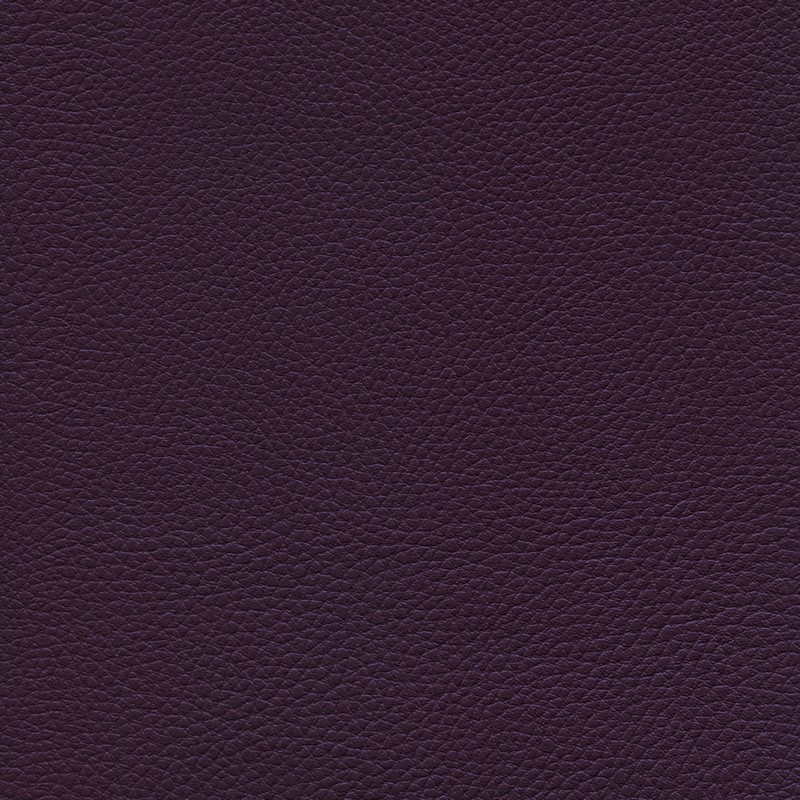 013 32 045 Myrtille