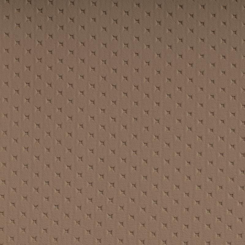 POL-1622 Sand dollar