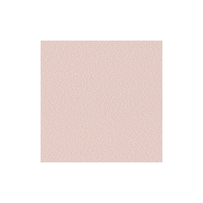 F4340-20293 Poudre