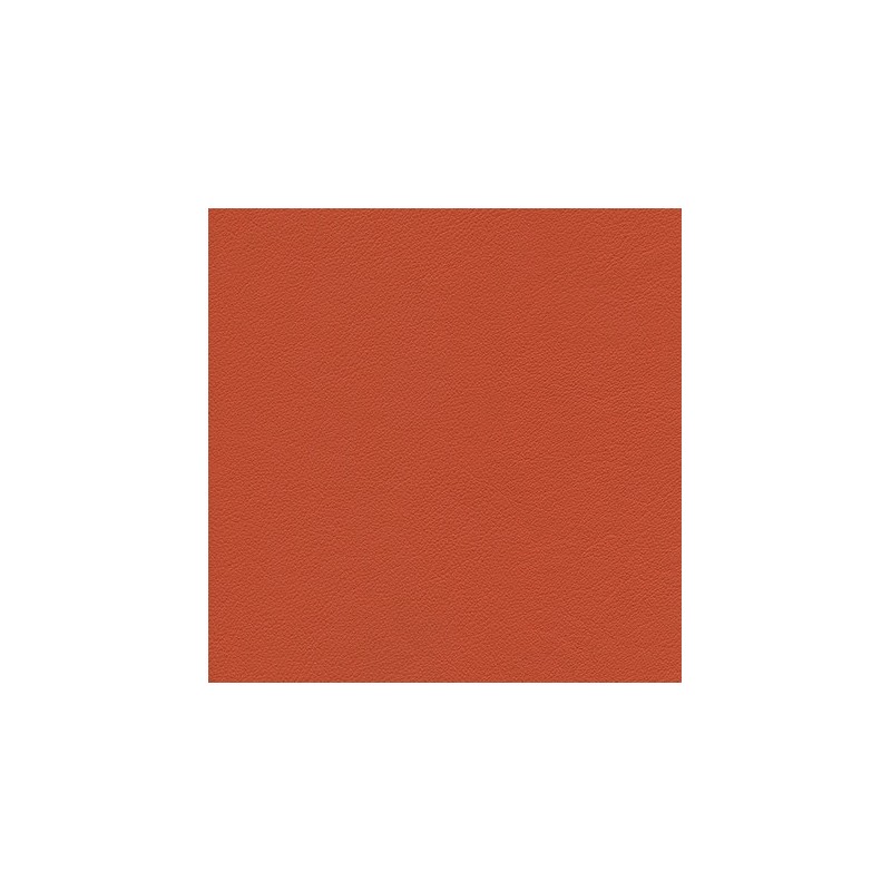 010 76 008 Abricot