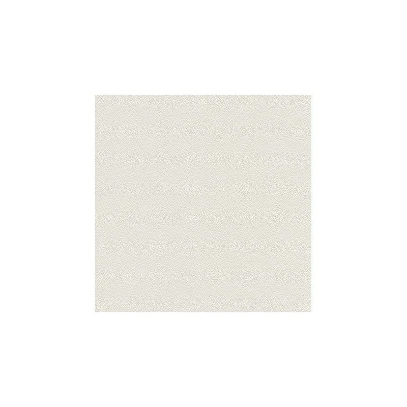 010 76 017 Blanc