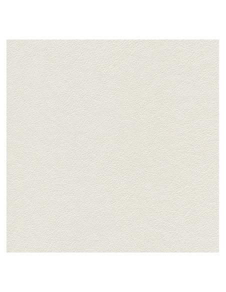 010 76 017 Blanc