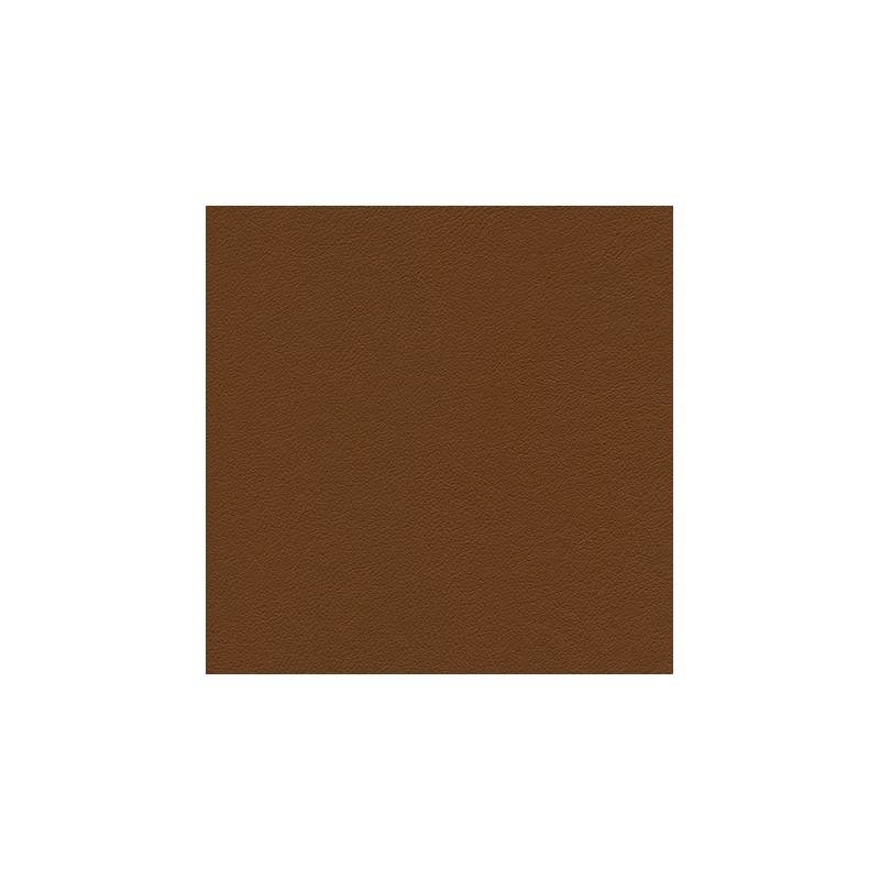 010 76 011 Cuir