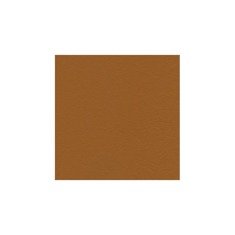010 76 010 Cannelle
