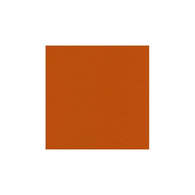 010 76 019 Orange
