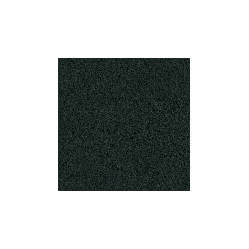 010 76 016 Noir