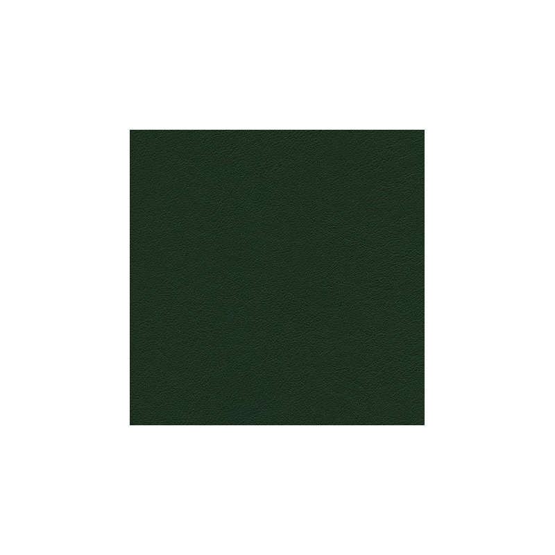 010 76 013 Vert