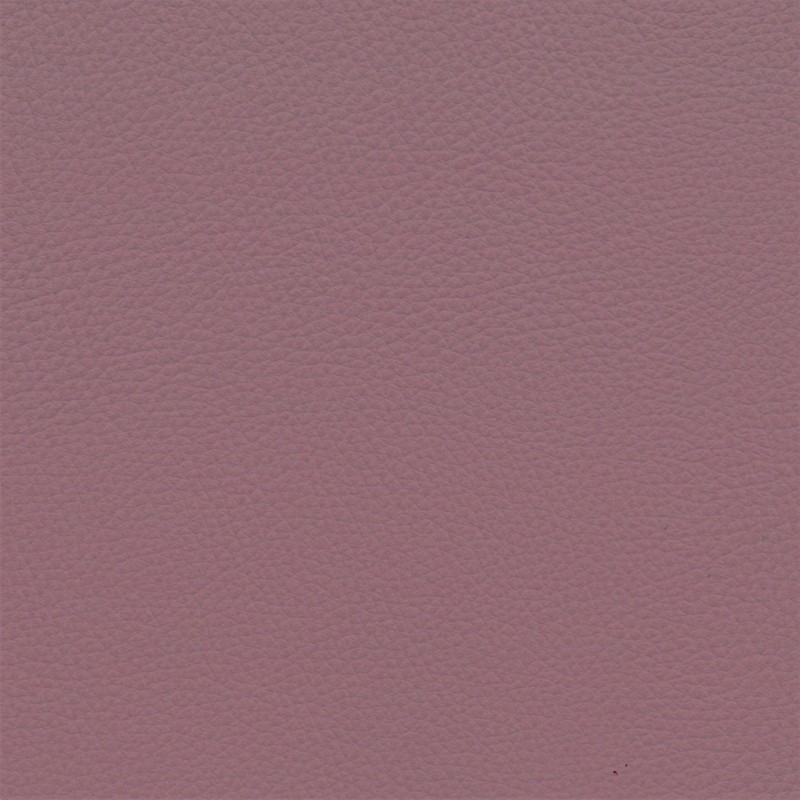 013 32 067 Bois de Rose