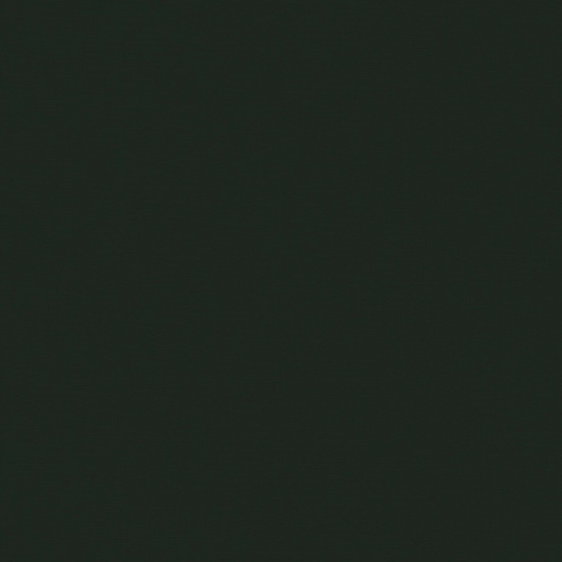 011 55 001 Vert titien