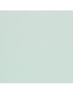 011 55 004 Opaline