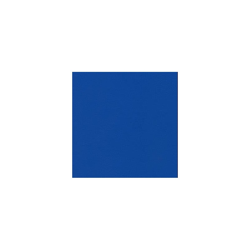 010 45 014 Bleuet
