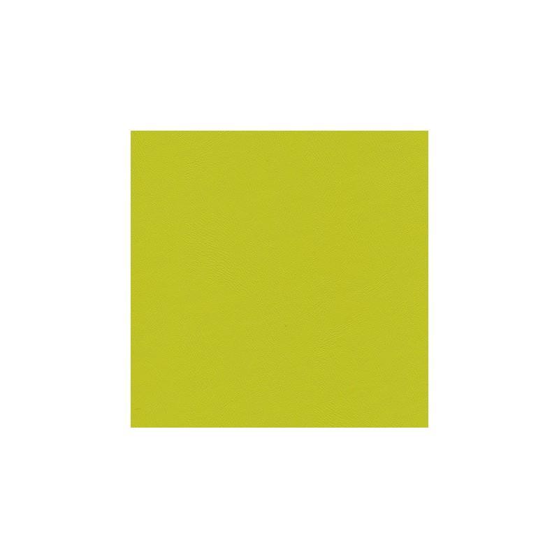 010 45 007 Kiwi