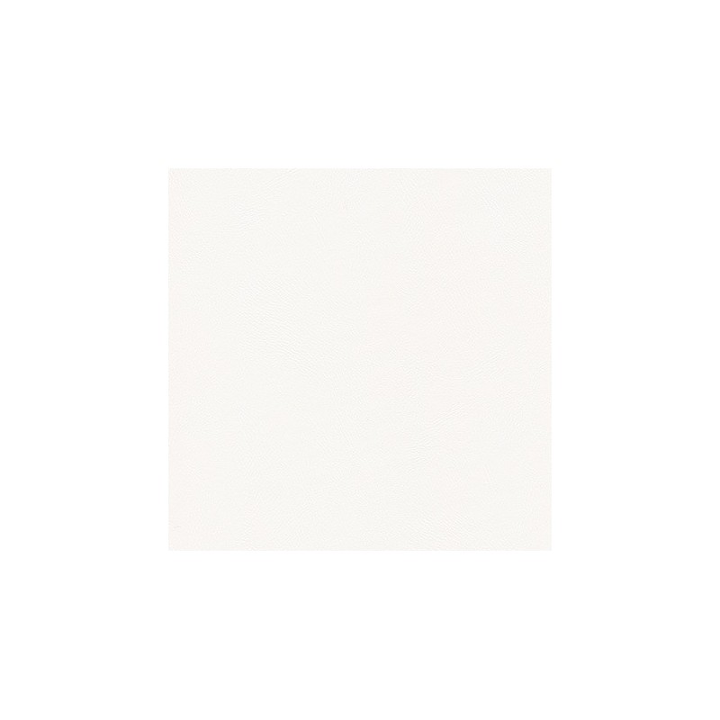 010 45 010 Blanc