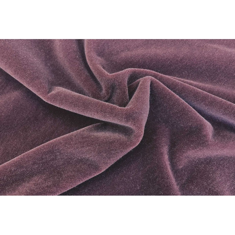 1203 Rose ibis