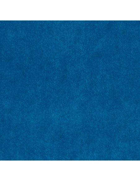 0220-18 Bleu