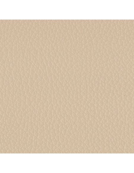 F4340-20279P Sahara