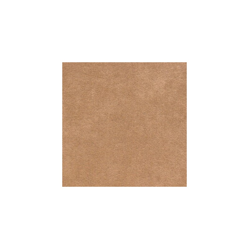 0257-05 Gazelle 3051