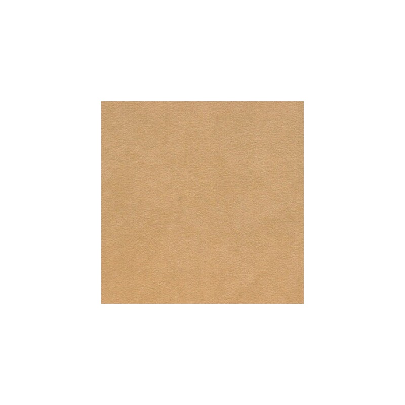 0257-07 Sahara 1110