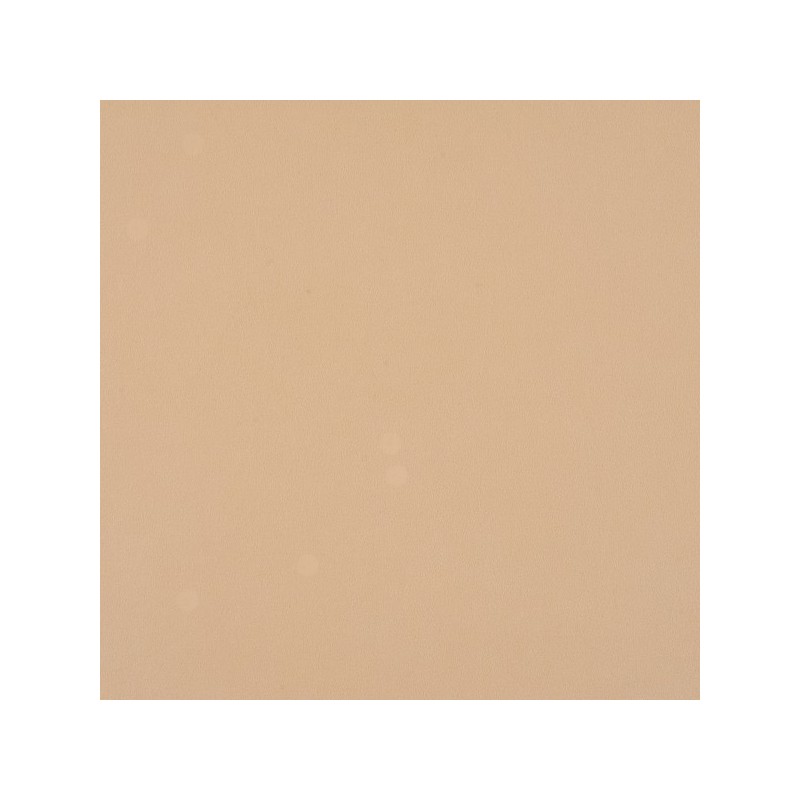 0257-23 Champagne