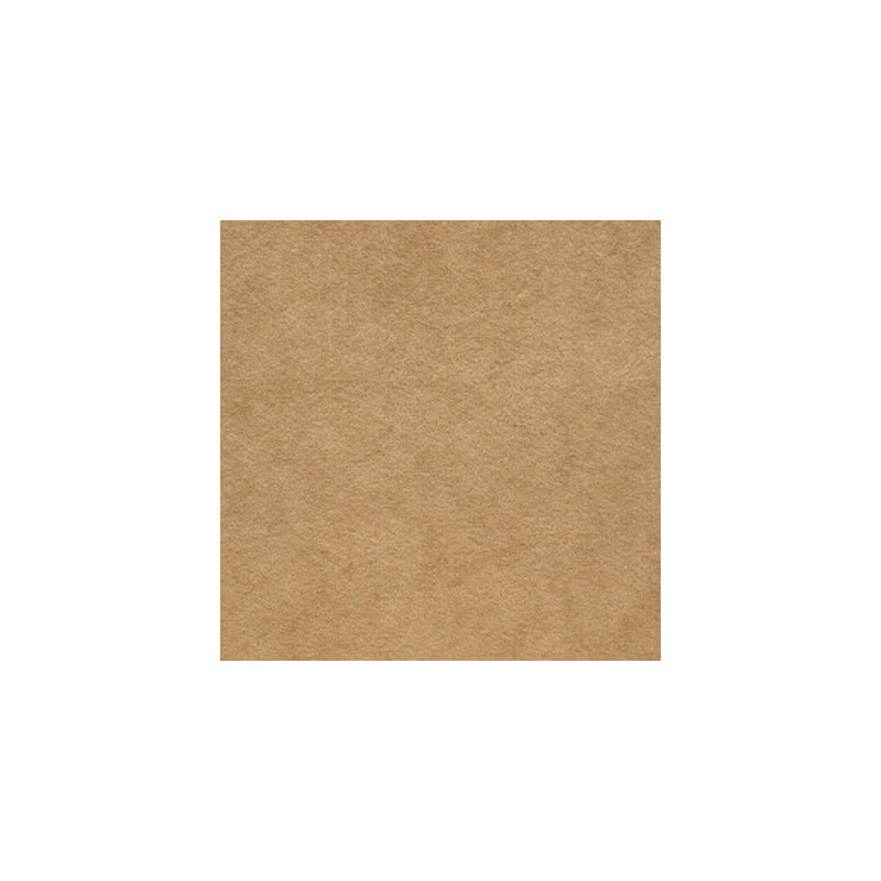 0258-06 Camel 107