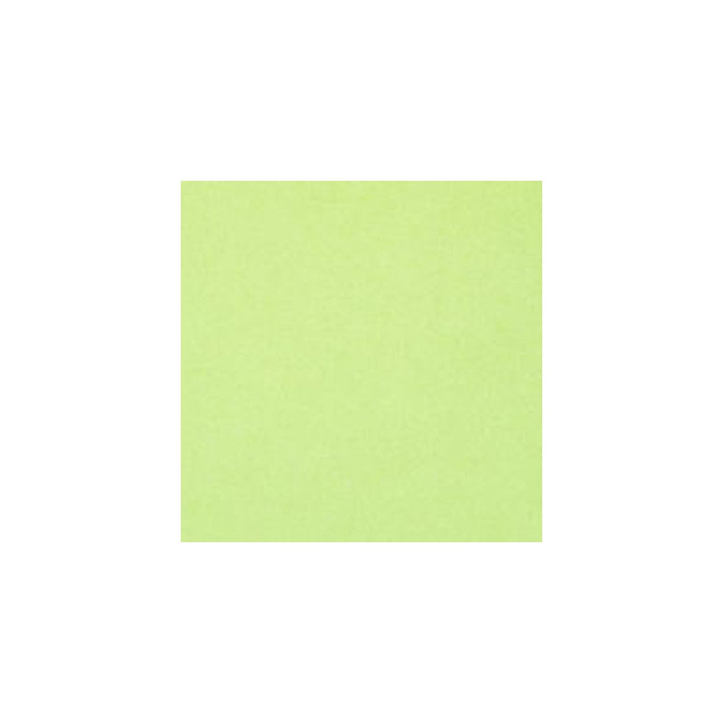 0258-85 Pistache 1045