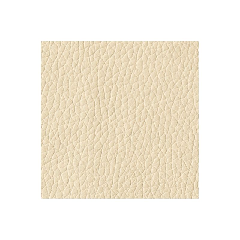 Vanilla Cream