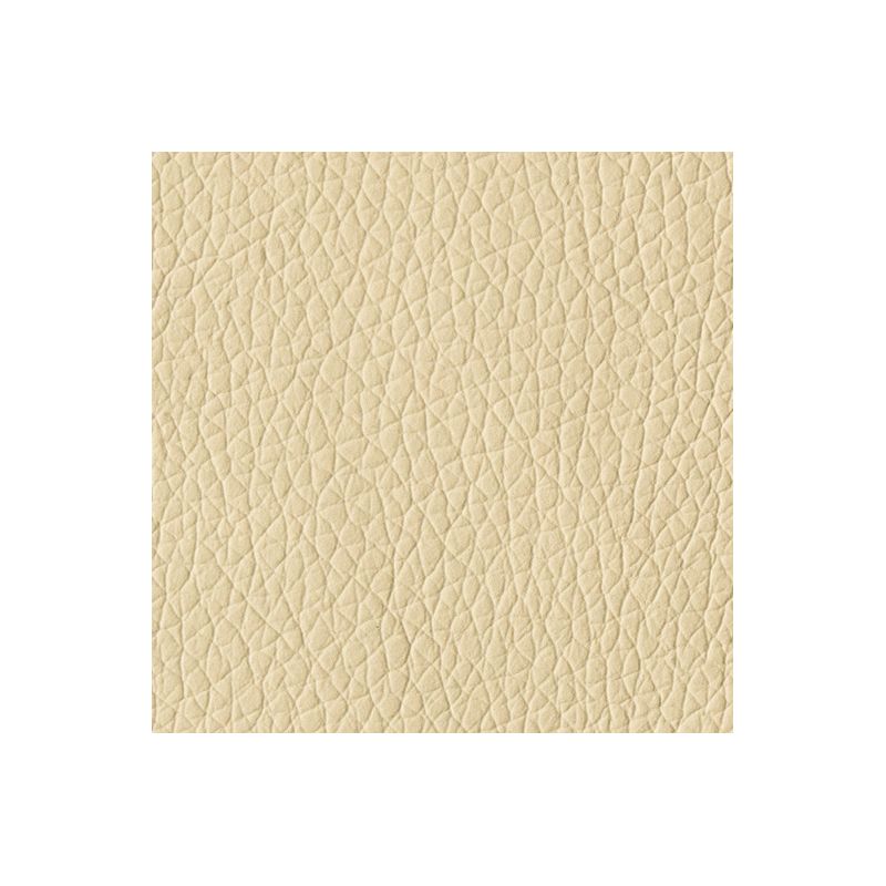 Light Powder