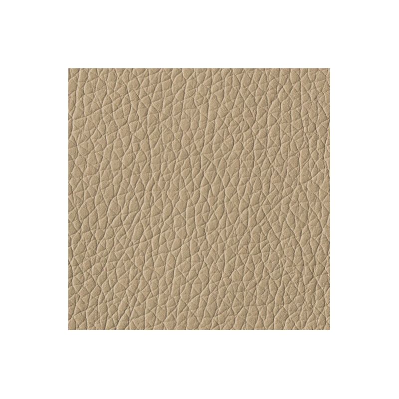 Desert Sand