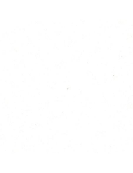 F4748-03244 Blanc
