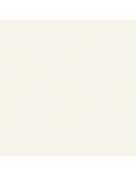 F3933-03244 Blanc
