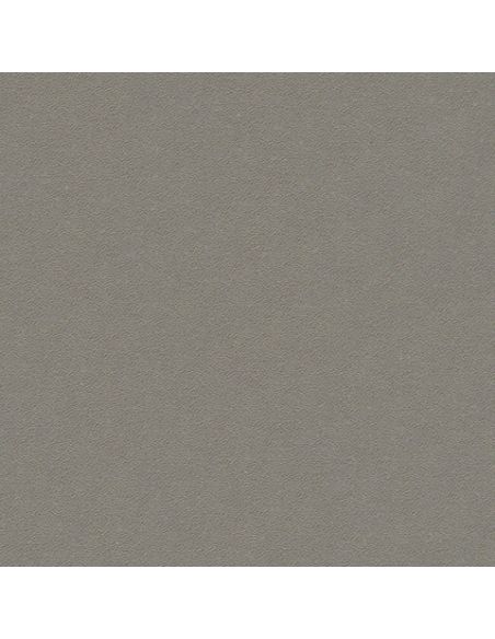 F3933-20218 Gris nuage