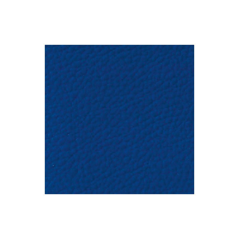 Indigo Blue