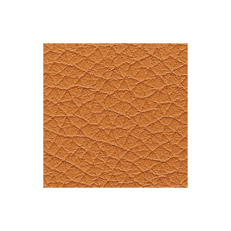 1516 Safari