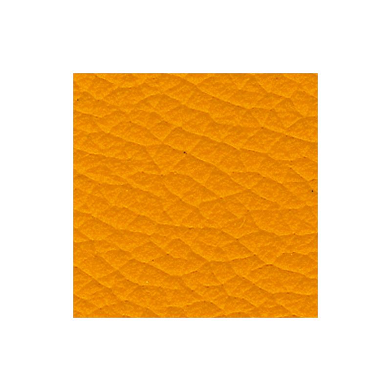 1525 Carota