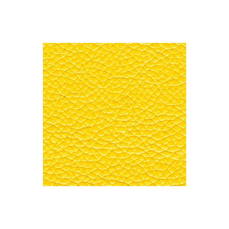 1557 Limone