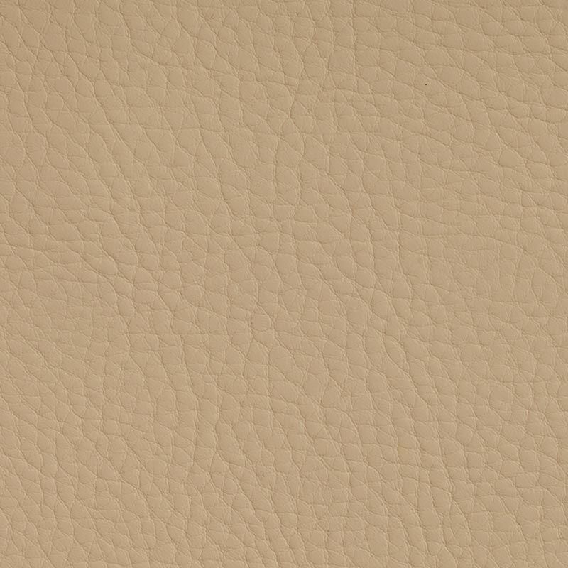 CRO-0003 Biscuit