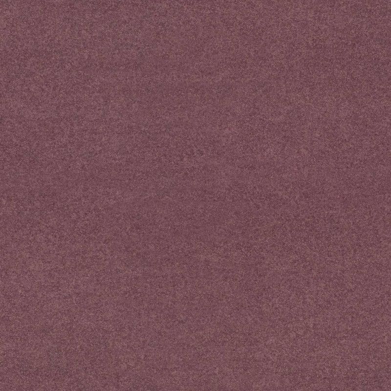 5243-96 Raisin