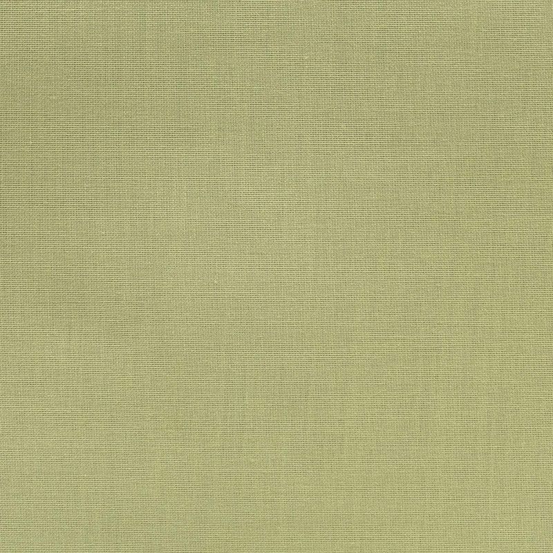 Olive 61