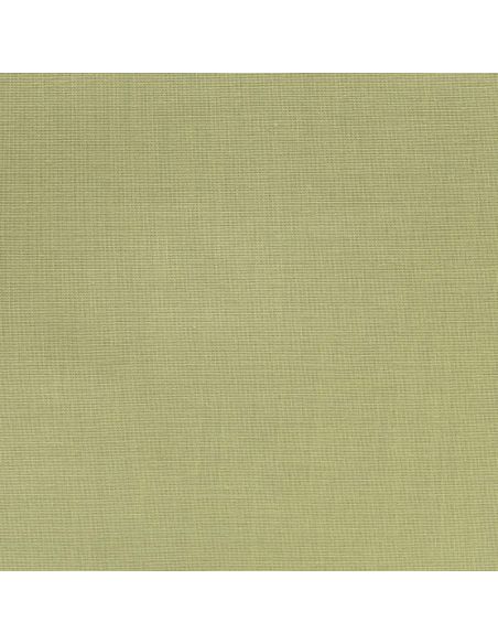 Olive 61