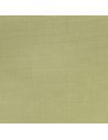 Olive 61