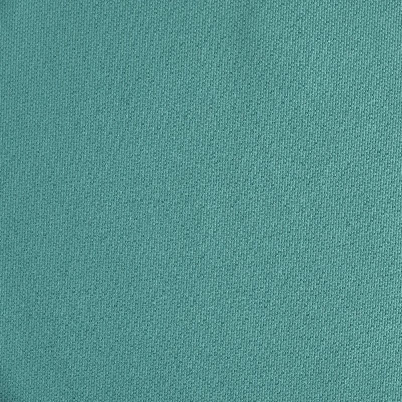 Eucalyptus 117
