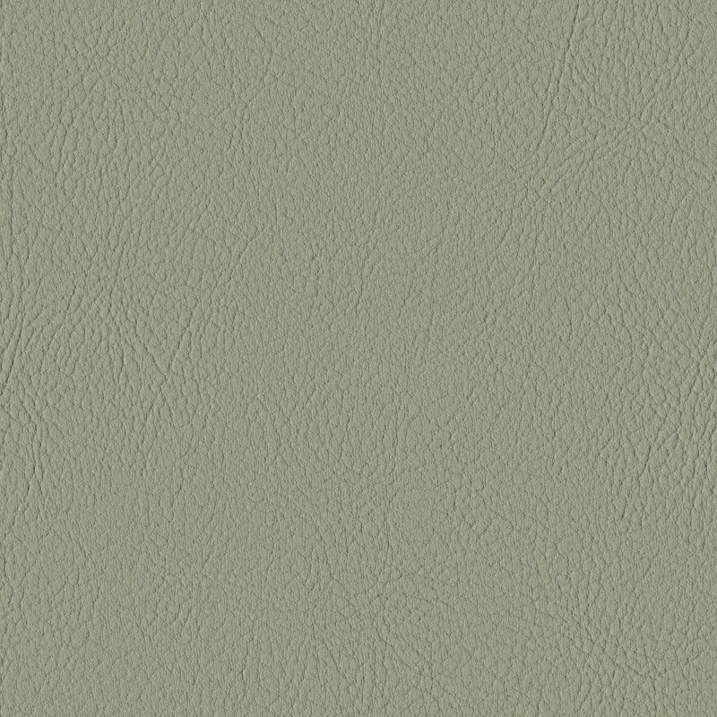 107-8438 Cactus