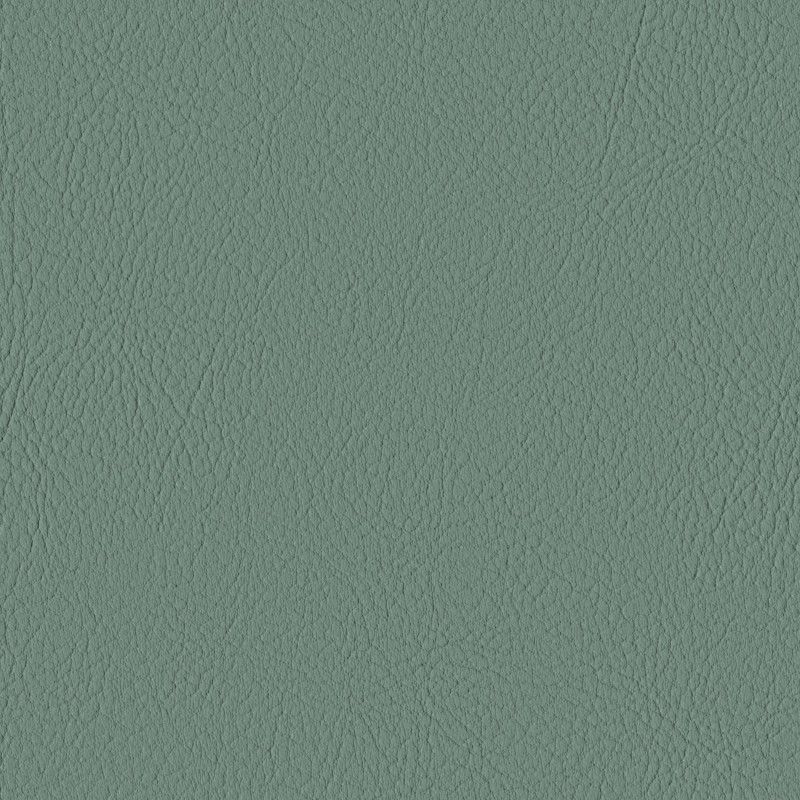 107-6438 Eucalyptus