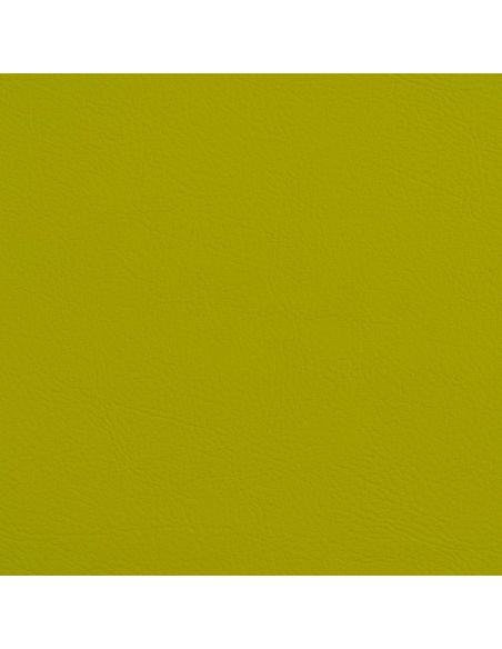 VES-2110 Avocado