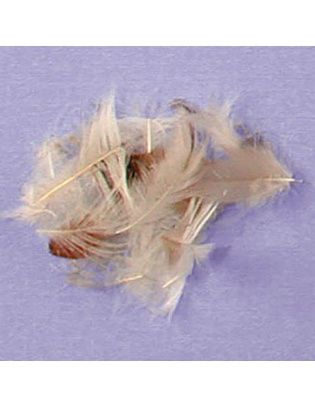 Plume mélangée n°40 - Sac de 1 KG