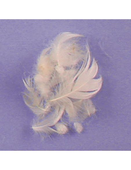 Mélange 9015 70% plume/30% conforel - Sac de 1 KG