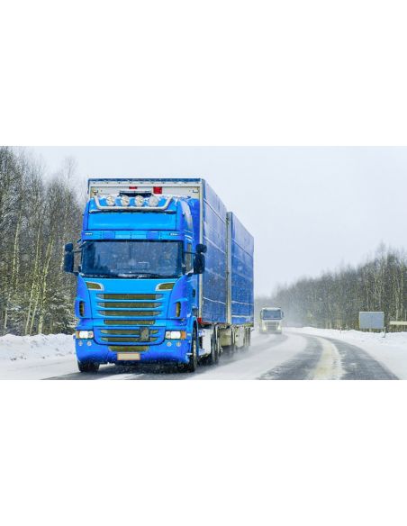 Bâches de camion pour les pays aux climats extrêmement froids