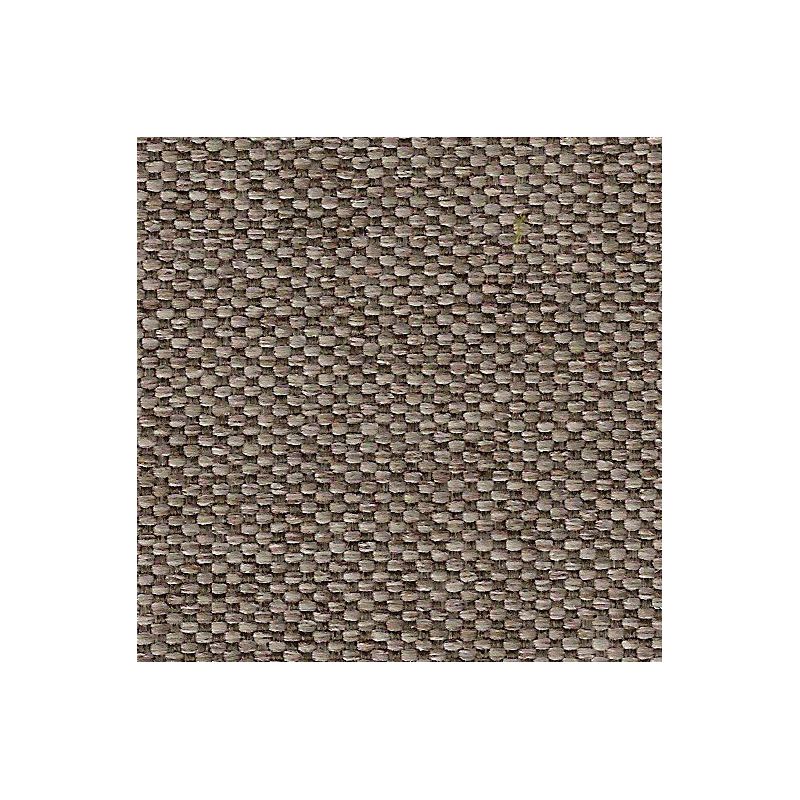 Pashmina